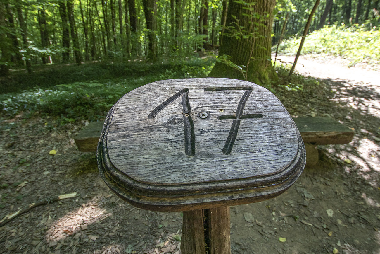 Kirándulás az energiapontok mentén a dobronaki Természeti Energiák parkjában