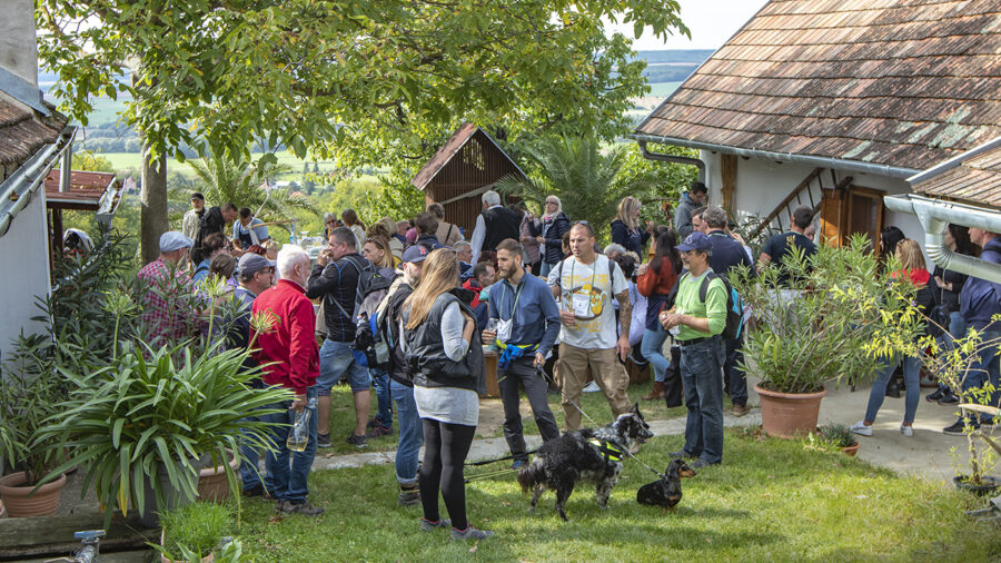 Kis faluban, nagy csodák történhetnek - Szőlőhegyi Pikniket rendeztek a zalai Dötkön