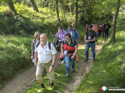 Kis faluban, nagy csodák történhetnek – Szőlőhegyi Pikniket rendeztek a zalai Dötkön