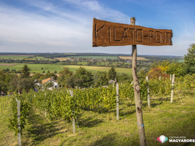 Kis faluban, nagy csodák történhetnek – Szőlőhegyi Pikniket rendeztek a zalai Dötkön