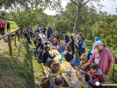 Kis faluban, nagy csodák történhetnek – Szőlőhegyi Pikniket rendeztek a zalai Dötkön