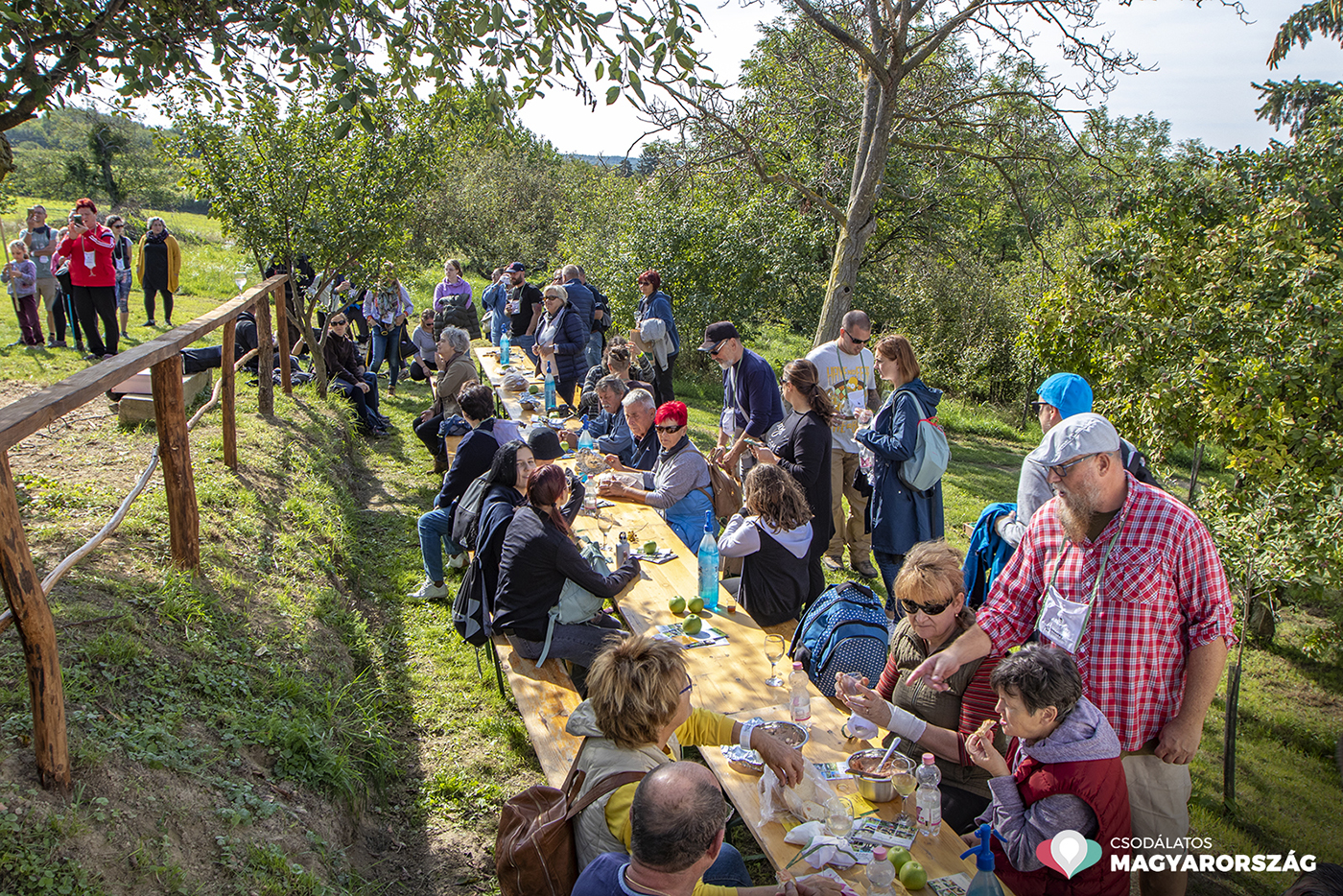 Kis faluban, nagy csodák történhetnek – Szőlőhegyi Pikniket rendeztek a zalai Dötkön