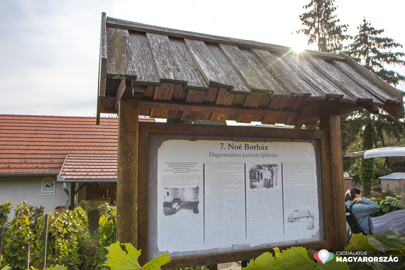 Kis faluban, nagy csodák történhetnek – Szőlőhegyi Pikniket rendeztek a zalai Dötkön