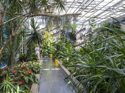 Trópusi kert és megannyi, szebbnél szebb orchidea Dobronakon