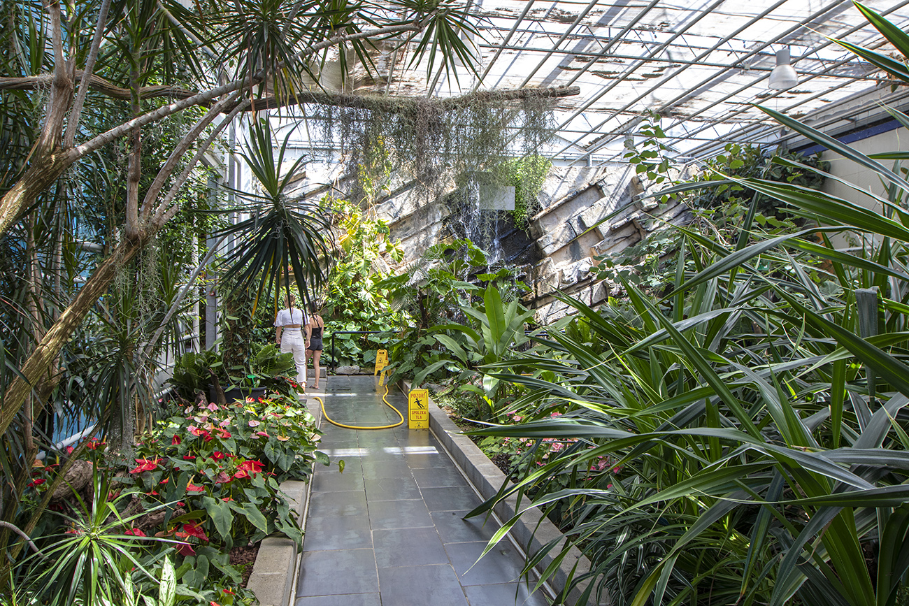 Trópusi kert és megannyi, szebbnél szebb orchidea Dobronakon