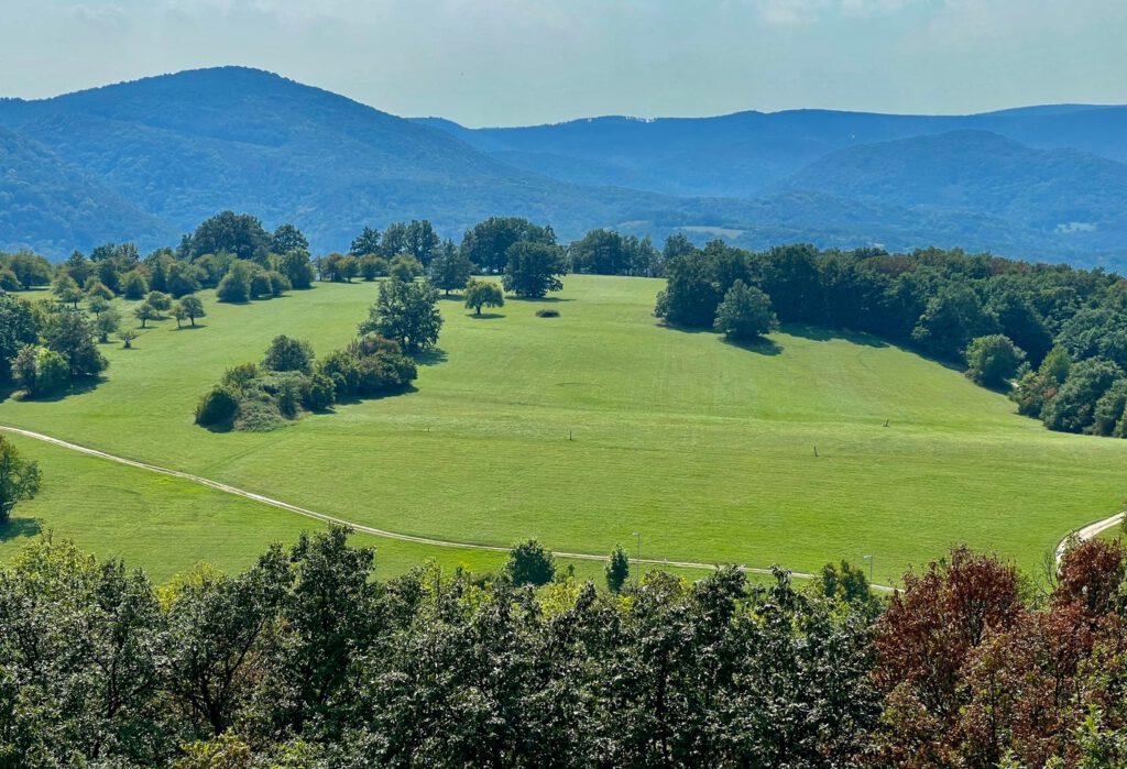 Zsitvay-kilátó, ahonnan szemkápráztató a panoráma