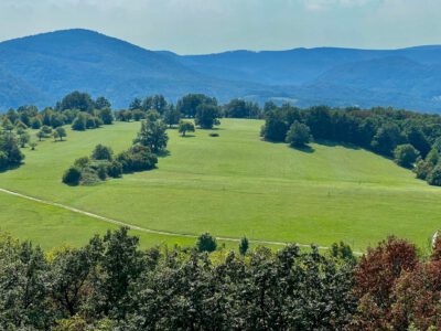 Zsitvay-kilátó, ahonnan szemkápráztató a panoráma