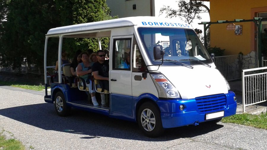 Városnézés és bortúra Zalakaroson a Dotto kisbusszal