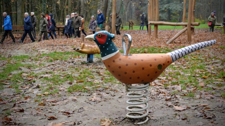 Erdei játszóteret és fitneszparkot is kialakítottak a gödöllői Arbo Parkban