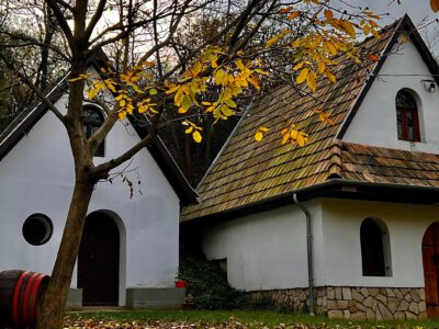Körbeölelte az ősz szurdokpüspöki népi pincesorát