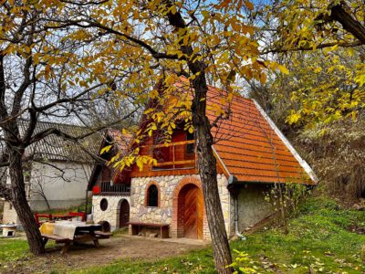 Körbeölelte az ősz szurdokpüspöki népi pincesorát