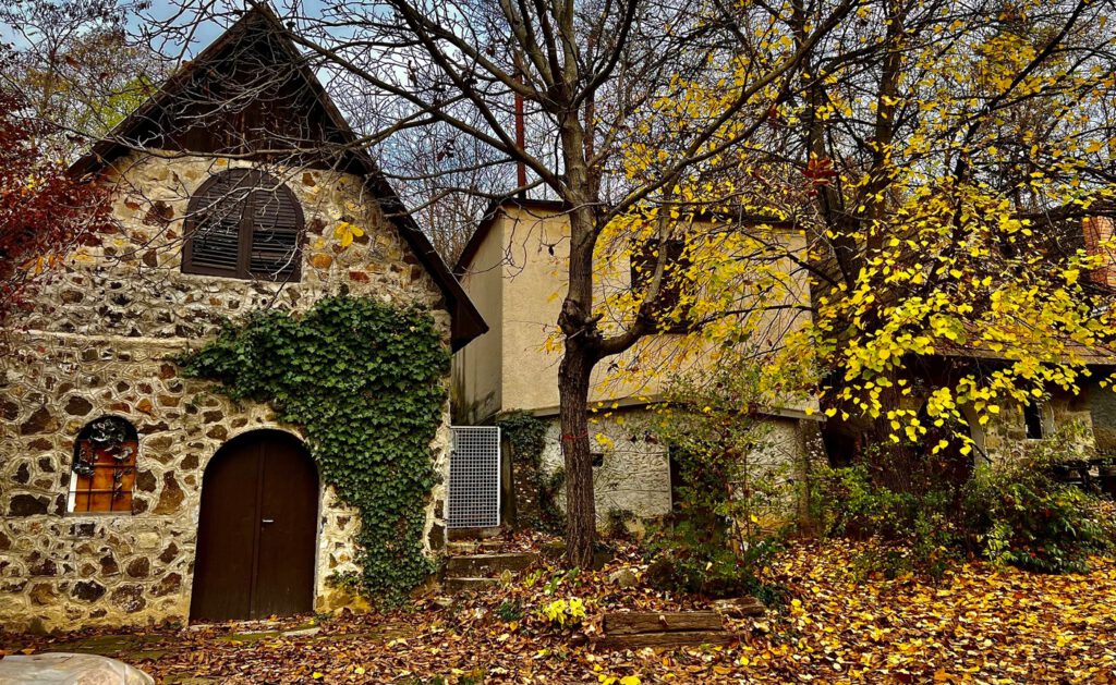 Körbeölelte az ősz szurdokpüspöki népi pincesorát