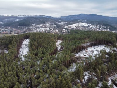 Zagyvaróna fekete hegyei, a salakkúpok