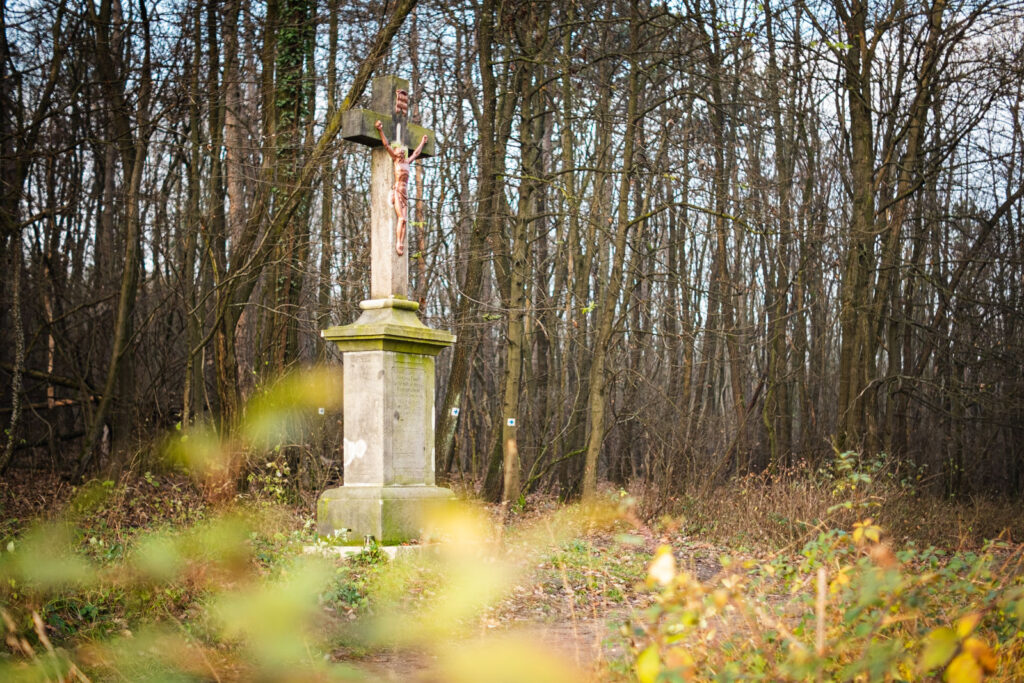 Napkelte a Julianus-kilátóban – januári túrázás a Dunakanyarban