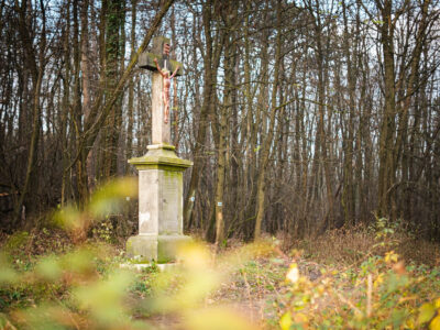 Napkelte a Julianus-kilátóban – januári túrázás a Dunakanyarban