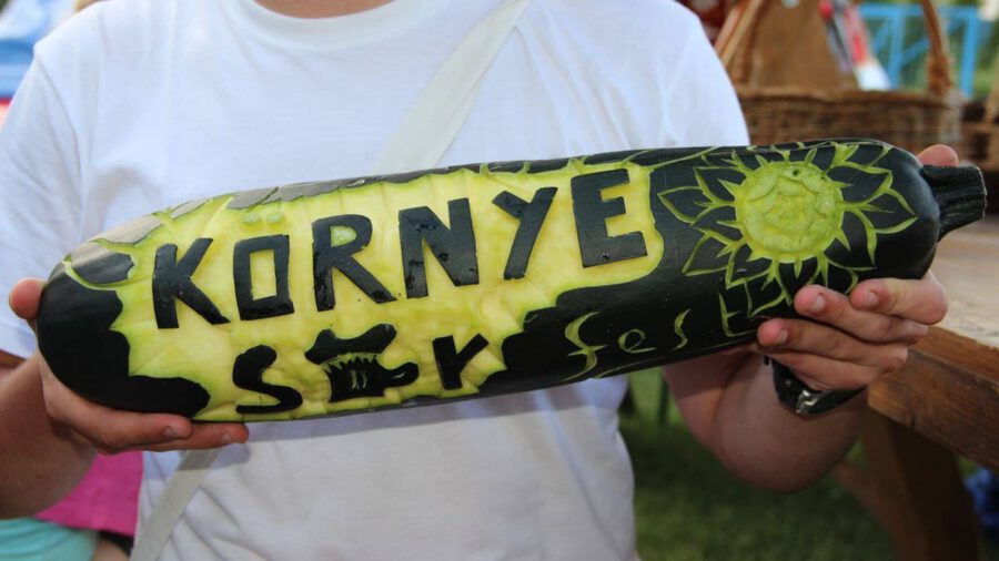 Nemzetiségi és Sörfesztivál 2023 Környe