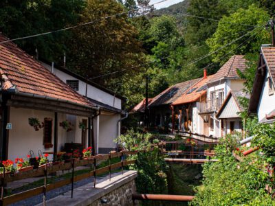 Zsólyomkai-pincesor, a Tokaji borvidék édenkertje