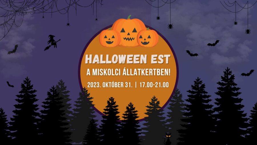 Halloween Est a Miskolci Állatkertben 2023