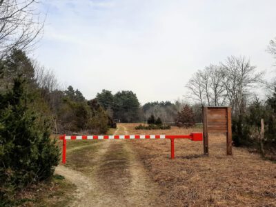 Barcsi Ősborókás: a kirándulásra és felfedezésre váró természeti csoda