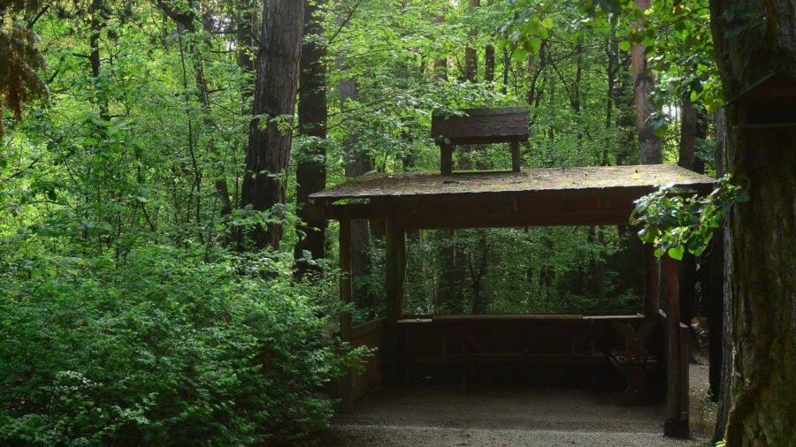 Budakeszi Erdészeti Arborétum