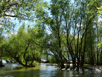 Kisoroszi Szigetcsúcs – túrázás és pihenés a Duna ölelésében