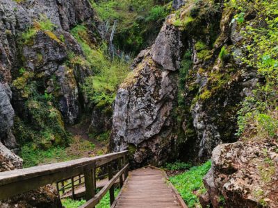 Úrkúti-őskarszt: felfedezőút Magyarország természeti kincsében