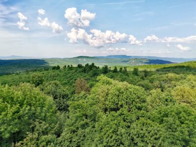Lenyűgöző kilátás a Budai-hegységben: a Csergezán Pál-kilátó