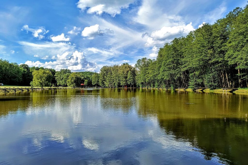 Ropolyi-tó: a zselici erdő kedvelt turistacélpontja