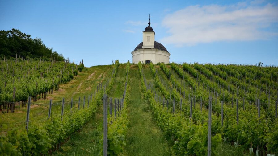 A tarcali Szent Teréz-kápolna: a barokk építészet csodája a Tokaji Borvidéken