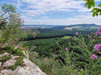 Pes-kő: a Gerecse elvarázsolt sziklavilága