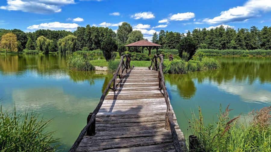 A kadarkúti Alerán-tó varázslatos világa