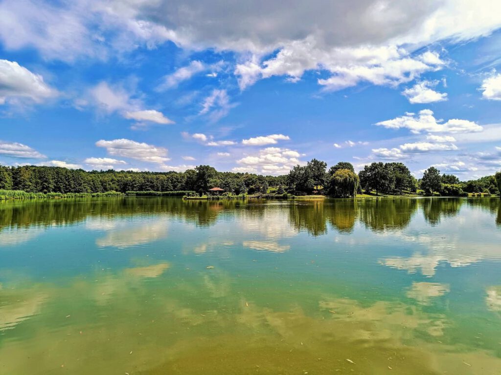 A kadarkúti Alerán-tó varázslatos világa