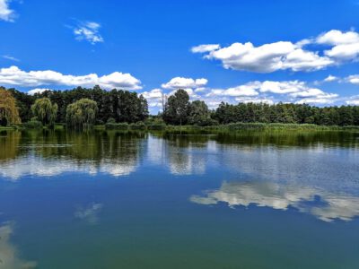 A kadarkúti Alerán-tó varázslatos világa