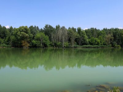 Ásványráró rejtett kincse: a torkolati fenékküszöb fenséges világa