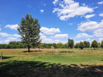 Kalandok a Dráva partján: Szaporca tanösvényei