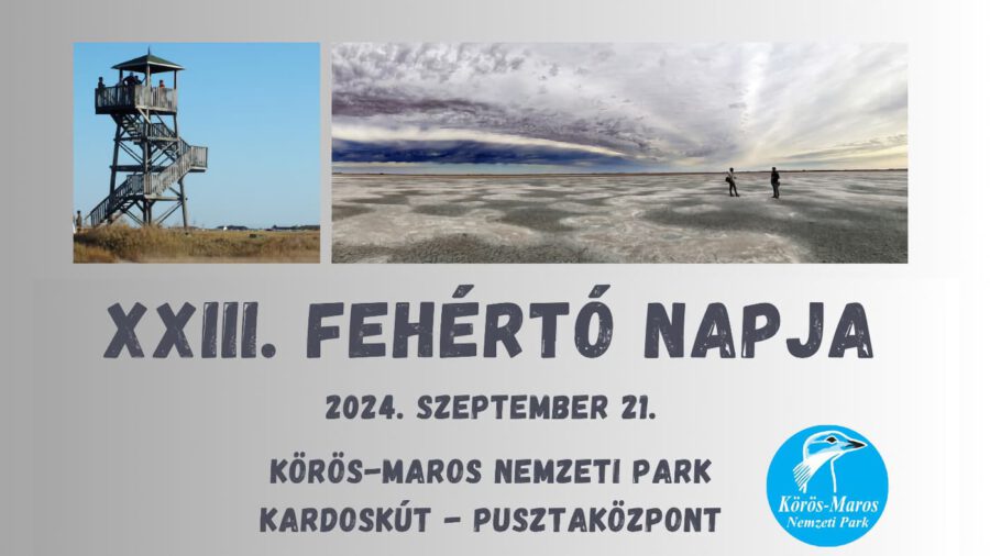 Fehértó Napja 2024 Kardoskút