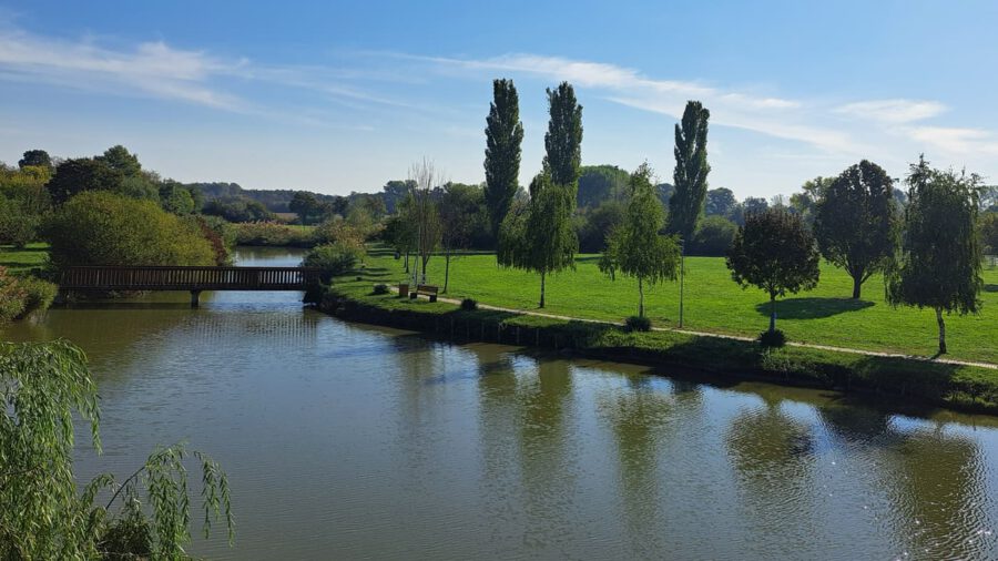 A pellérdi Brázay-kastély parkjának varázslatos világa