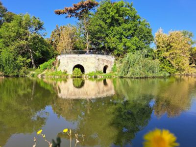 A pellérdi Brázay-kastély parkjának varázslatos világa