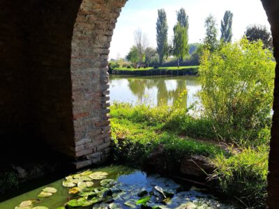 A pellérdi Brázay-kastély parkjának varázslatos világa