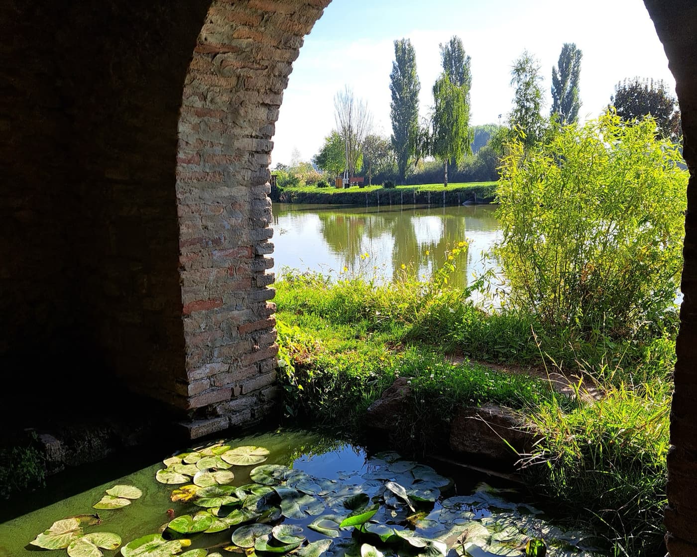 A pellérdi Brázay-kastély parkjának varázslatos világa