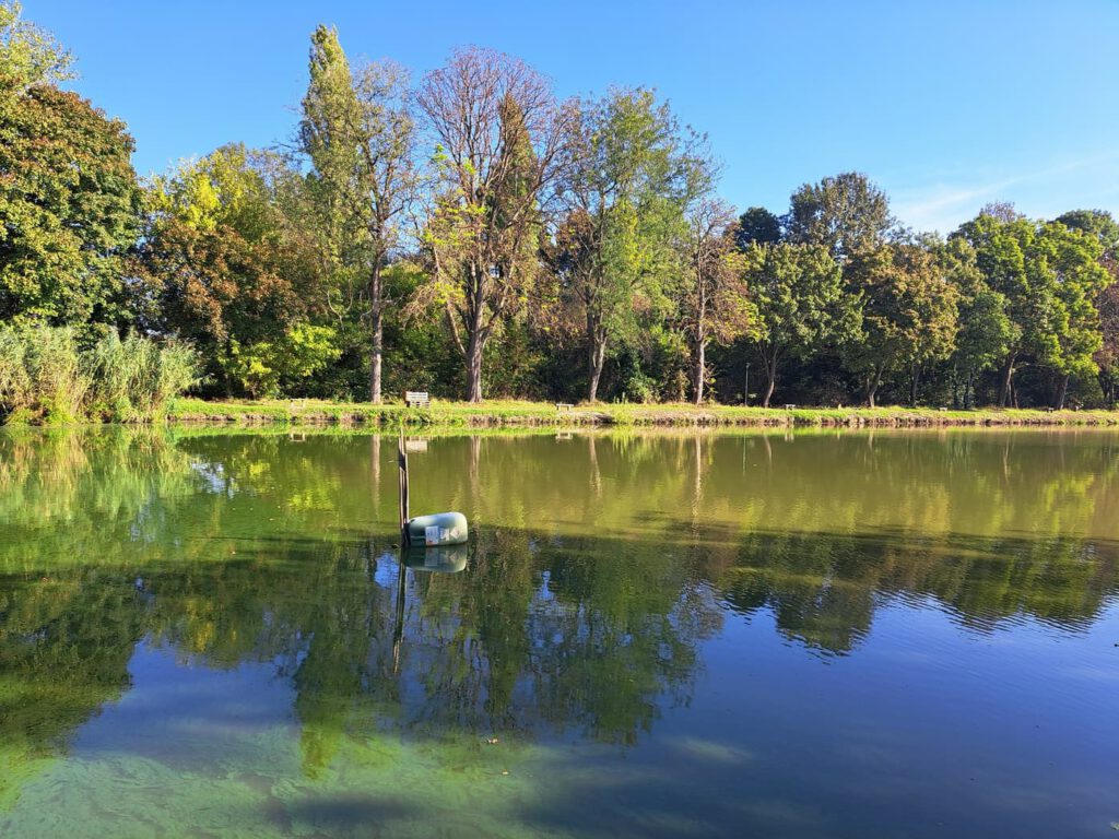 A pellérdi Brázay-kastély parkjának varázslatos világa