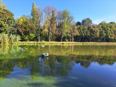 A pellérdi Brázay-kastély parkjának varázslatos világa