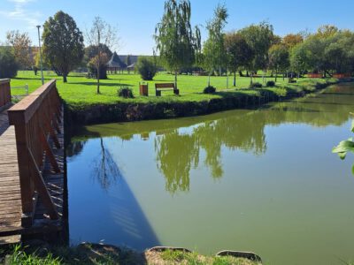 A pellérdi Brázay-kastély parkjának varázslatos világa
