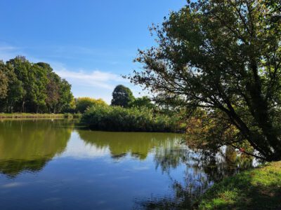 A pellérdi Brázay-kastély parkjának varázslatos világa
