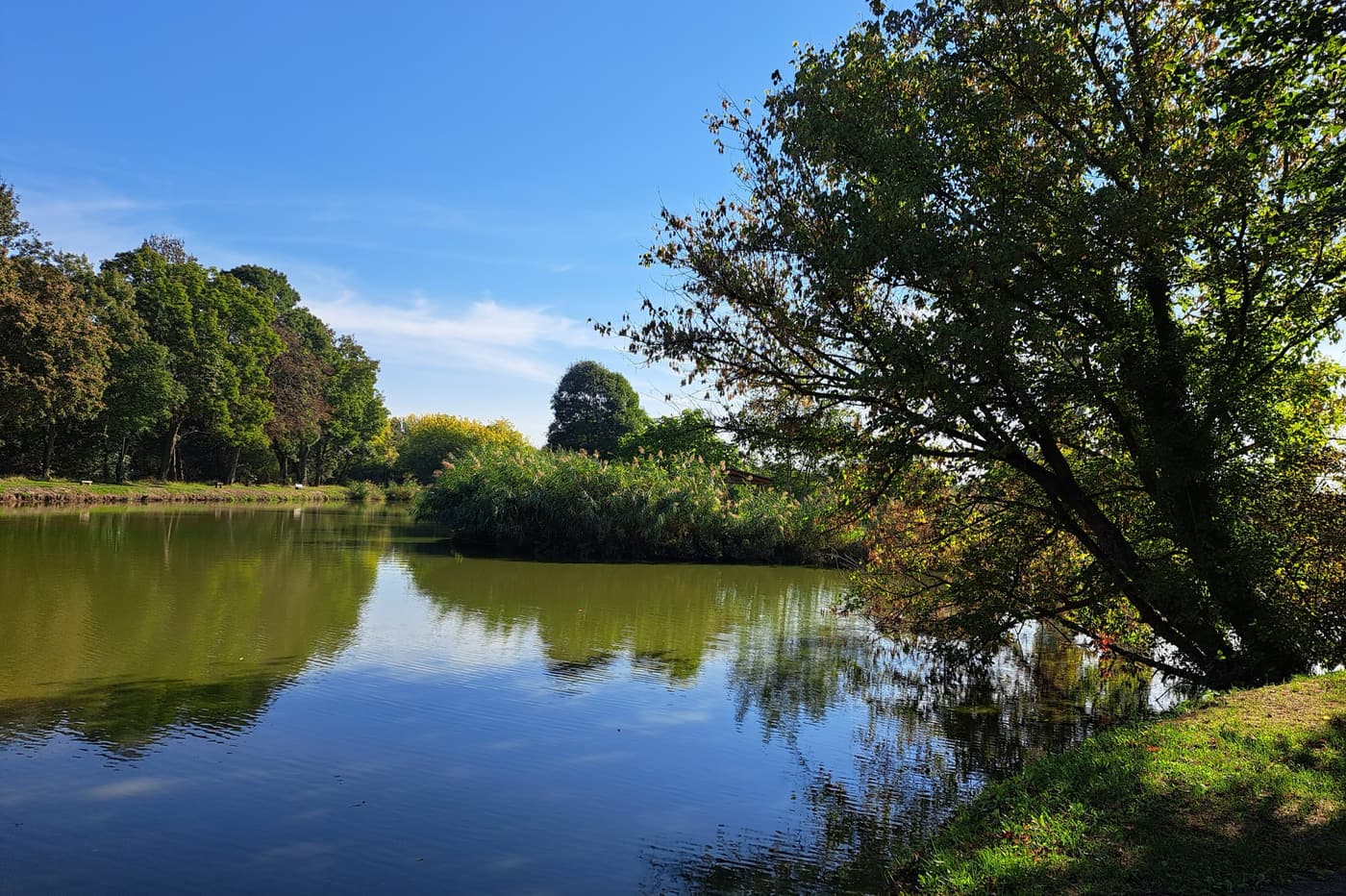 A pellérdi Brázay-kastély parkjának varázslatos világa