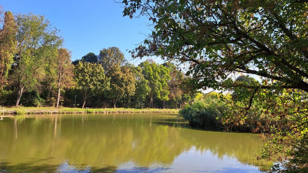 A pellérdi Brázay-kastély parkjának varázslatos világa