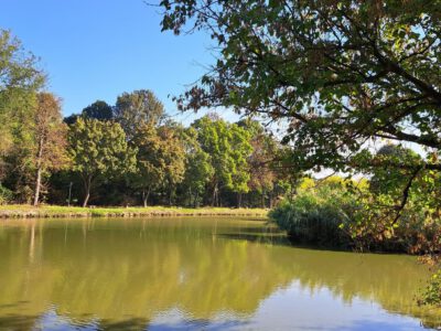 A pellérdi Brázay-kastély parkjának varázslatos világa