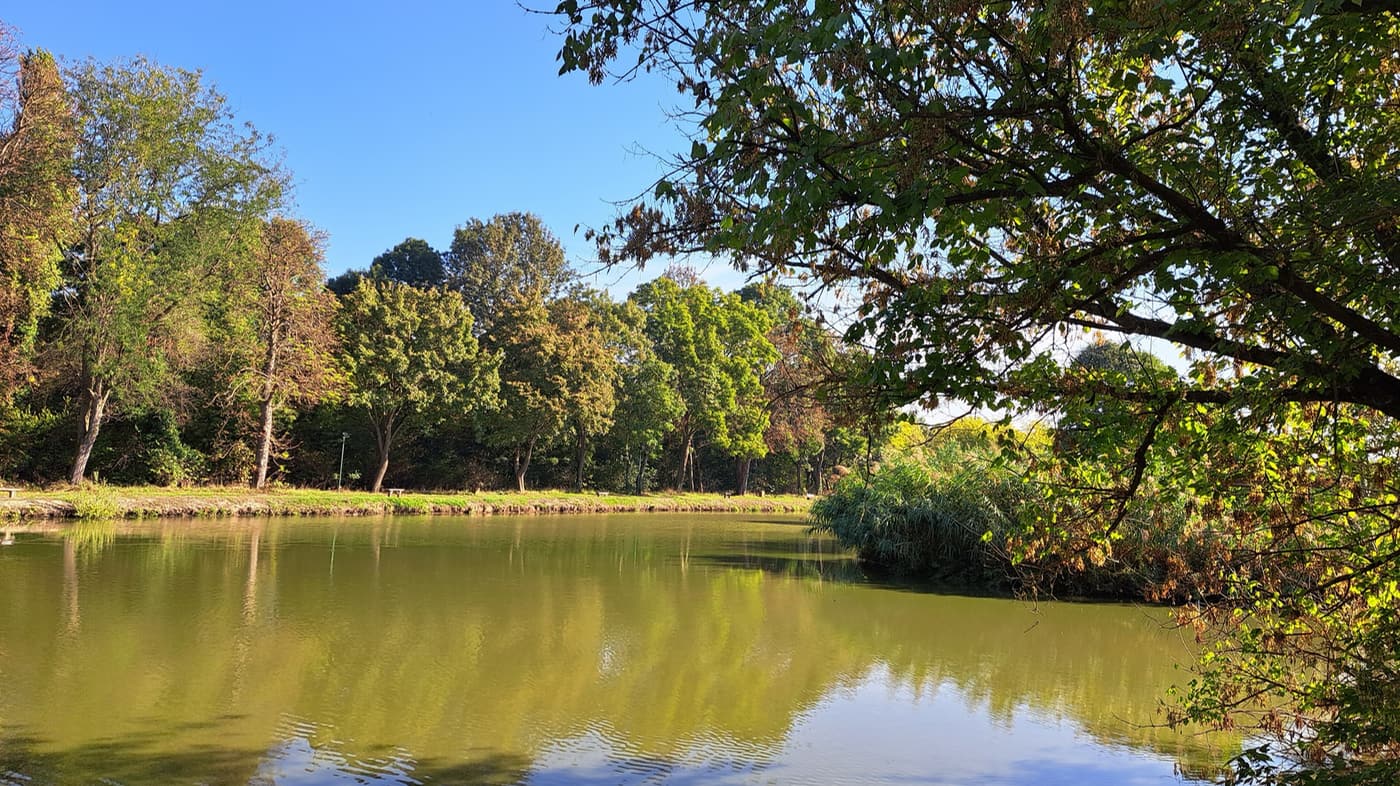 A pellérdi Brázay-kastély parkjának varázslatos világa