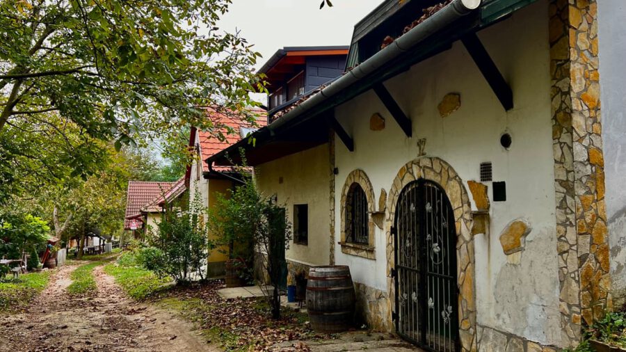 Hagyományok, borok, történelem: a Piliscsévi Pincesor bájai