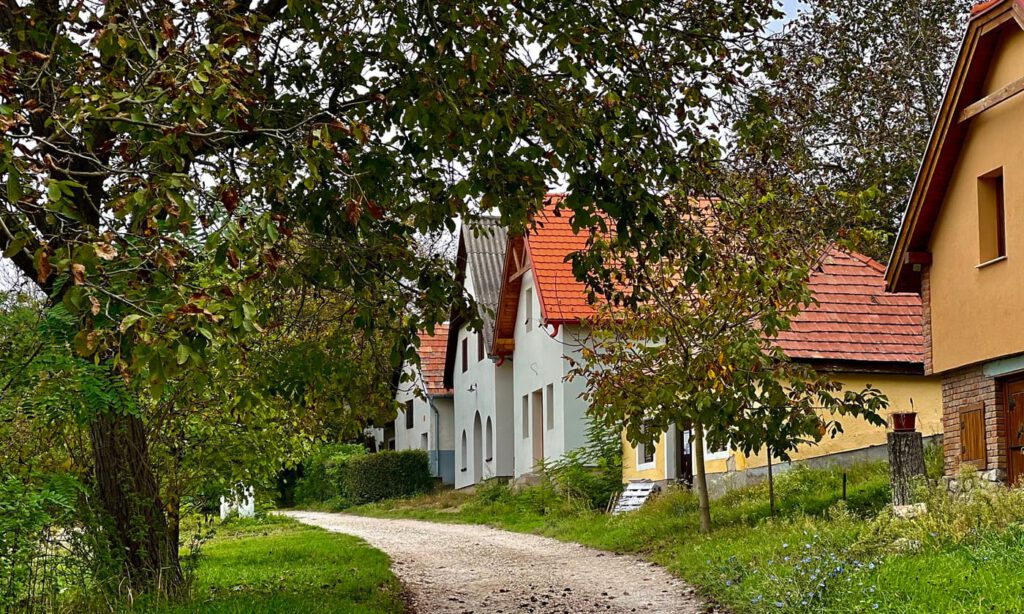 Hagyományok, borok, történelem: a Piliscsévi Pincesor bájai